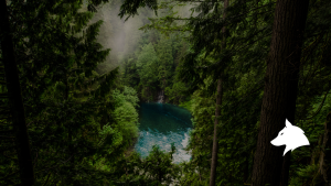 Team building ecosystem illustration showing leadership, culture, coaching, and events working together.