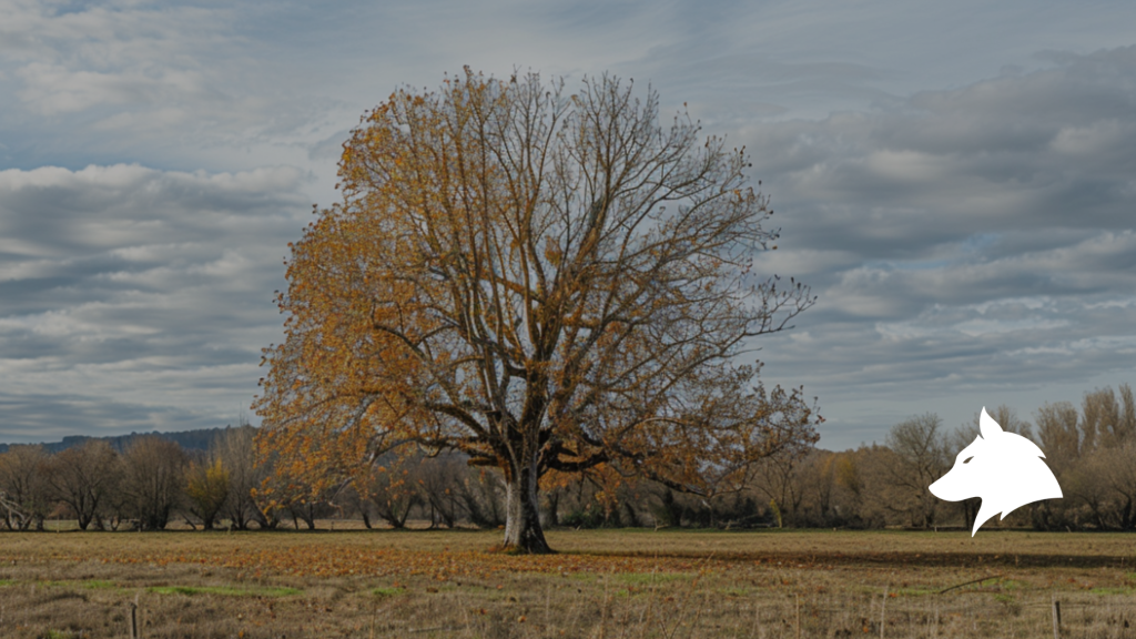 Illustration of team building balance with leadership, culture, coaching, and events working together